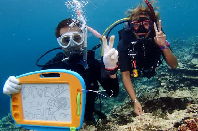 P8145230_640x423 P8145230_640x423