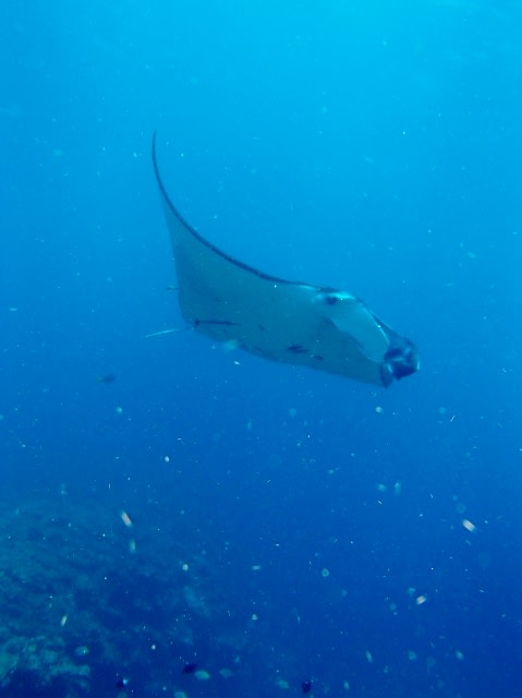 P6290013_479x640 P6290013_479x640