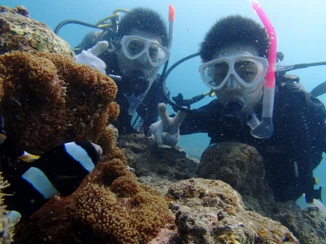 Pa080014_640x480 Pa080014_640x480