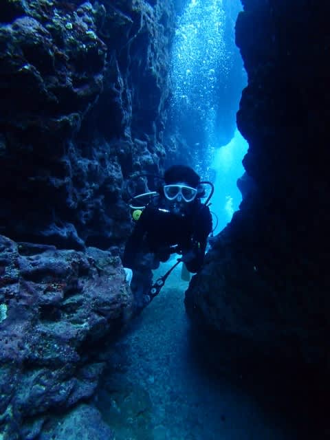 P9080003_480x640 P9080003_480x640