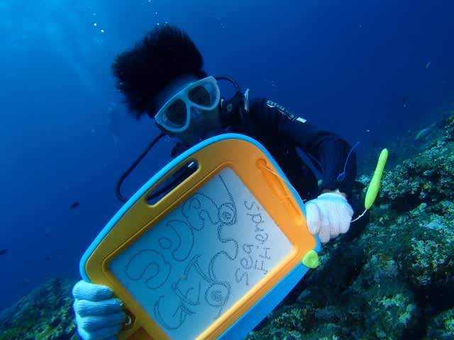 P6292267_640x480 P6292267_640x480