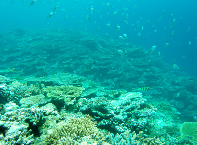 Gedc0039_2 Gedc0039_2