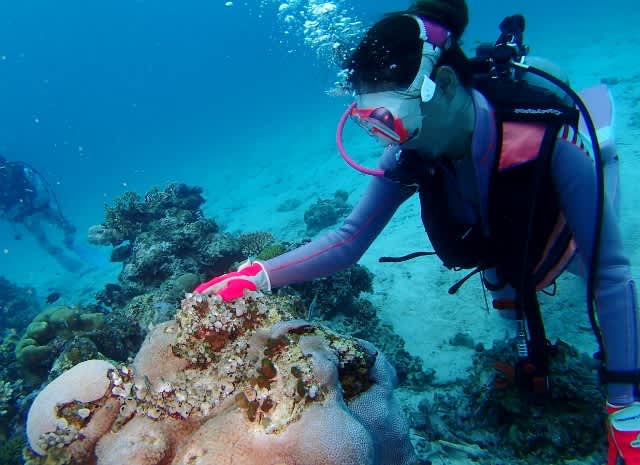 P9197212_640x465 P9197212_640x465