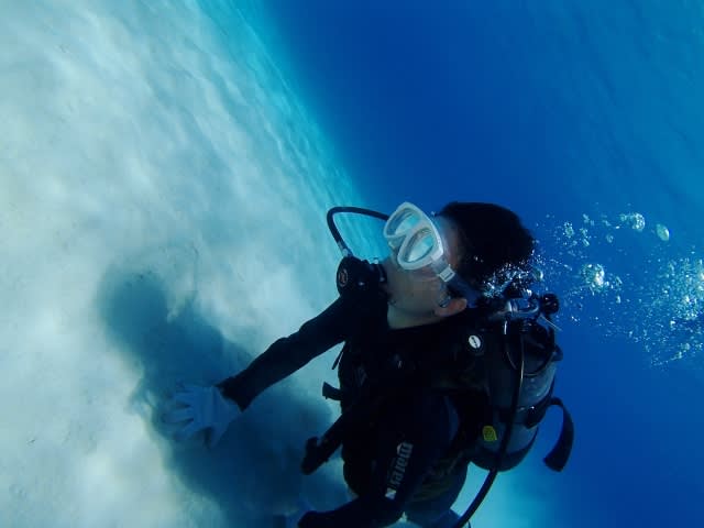 P7223471_640x480 P7223471_640x480