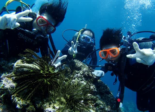 P7223505_640x464 P7223505_640x464