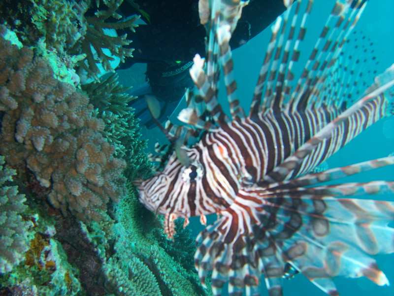 Gedc0046_2 Gedc0046_2