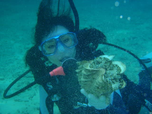 P4280043_2 P4280043_2