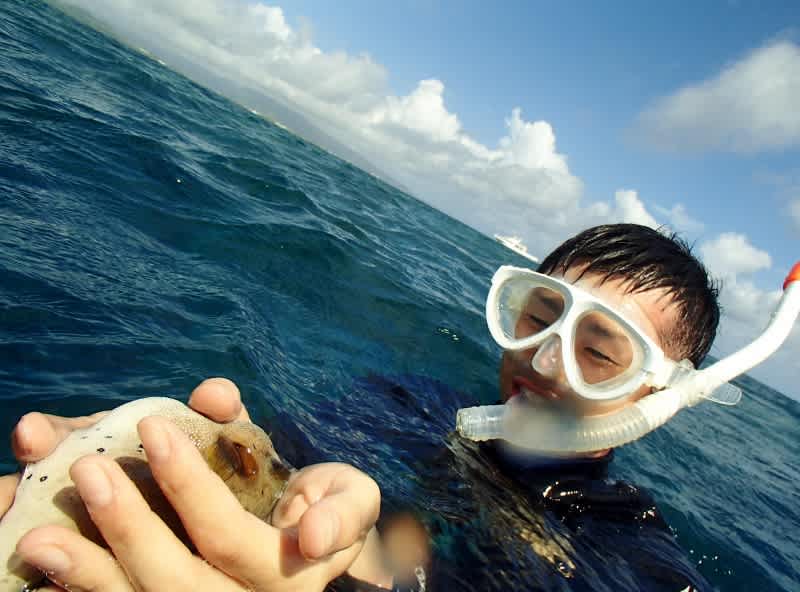 P6232052_800x592 P6232052_800x592