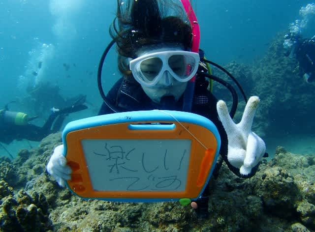 P9140032_640x472 P9140032_640x472