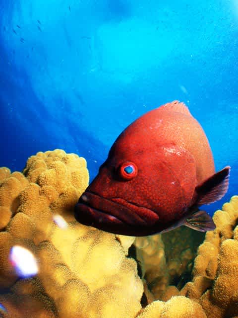 Pc010022 Pc010022