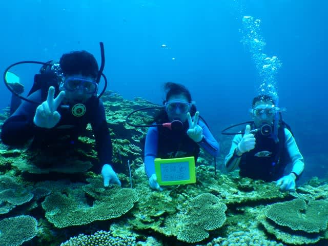 P5110014_2 P5110014_2