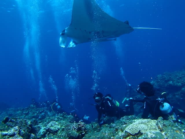 P9290097_640x480 P9290097_640x480