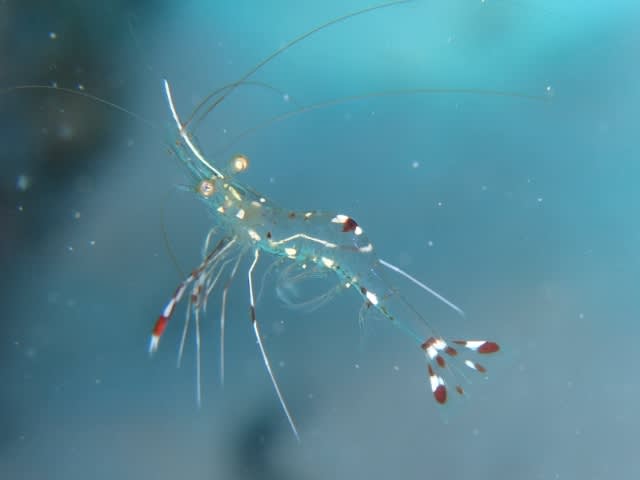 P9040017_640x480 P9040017_640x480