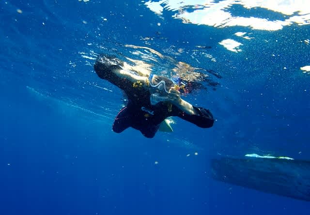 P9280044_640x444 P9280044_640x444