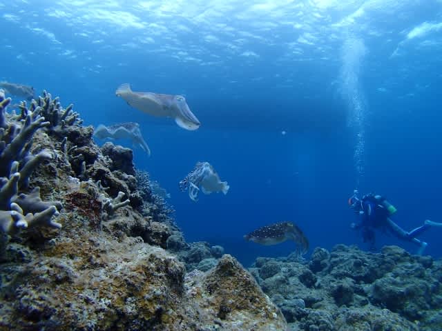 P5050061_640x480 P5050061_640x480