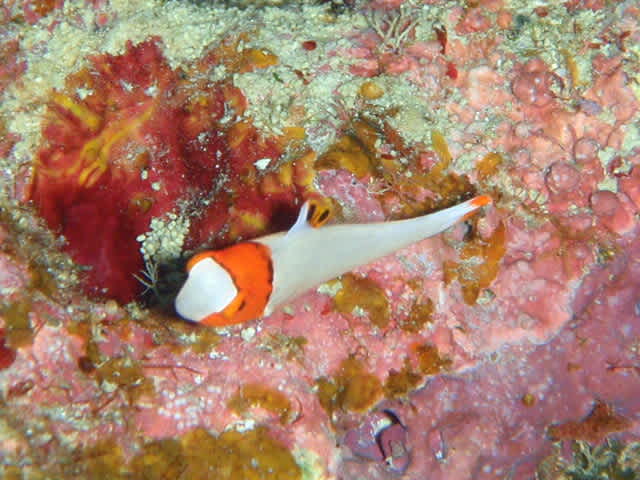 P1078321_2 P1078321_2