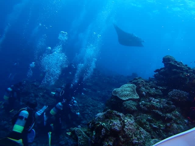 P9056389_640x480 P9056389_640x480