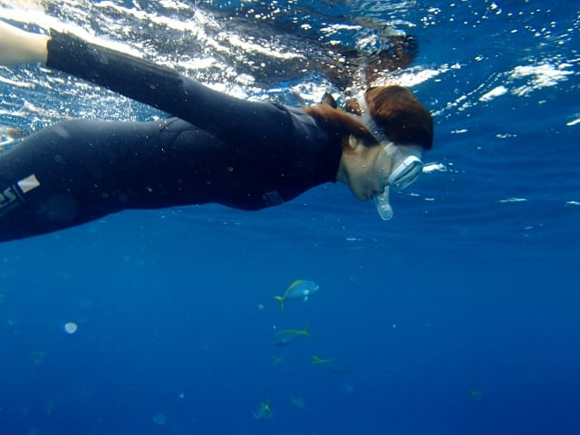 P4230095_640x480 P4230095_640x480