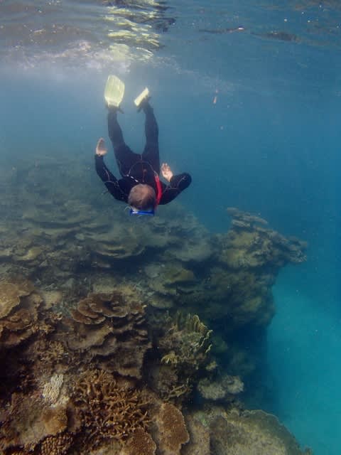 Pa080007_480x640 Pa080007_480x640