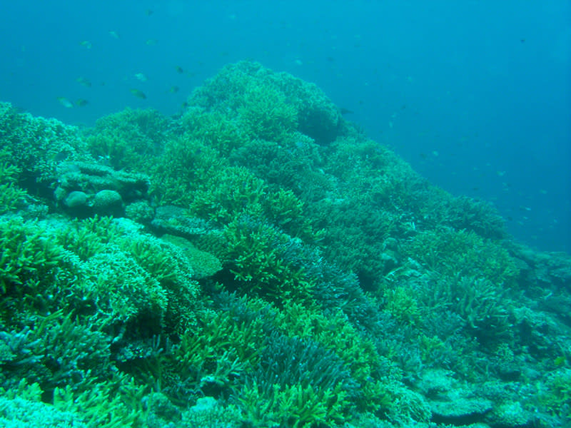 Gedc0007_2 Gedc0007_2