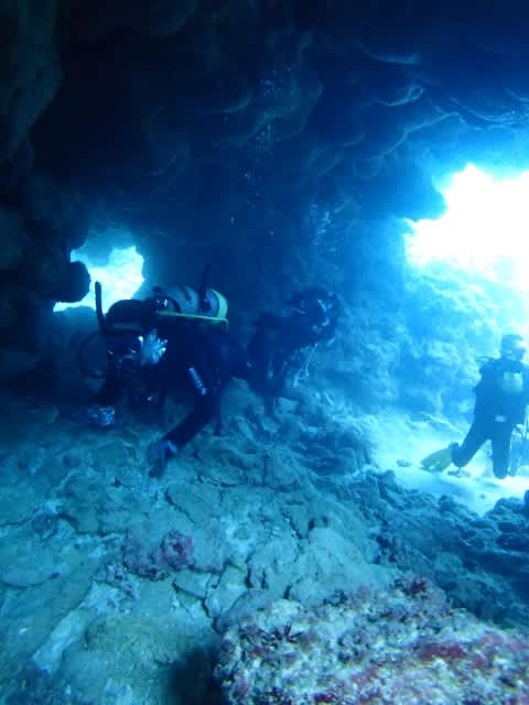 P9267524_480x640 P9267524_480x640