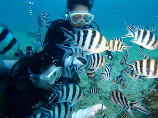 Pa188432_640x480 Pa188432_640x480