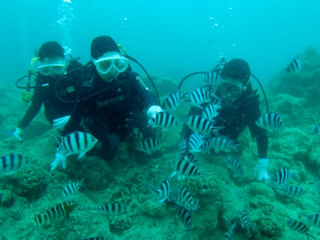 P3290028_640x480 P3290028_640x480