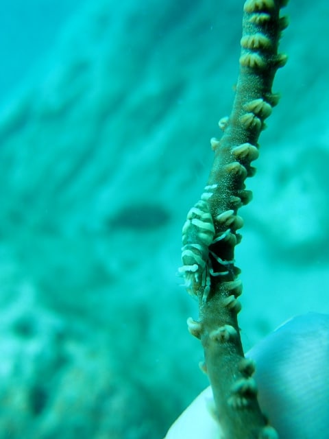 P5280039_640x480 P5280039_640x480