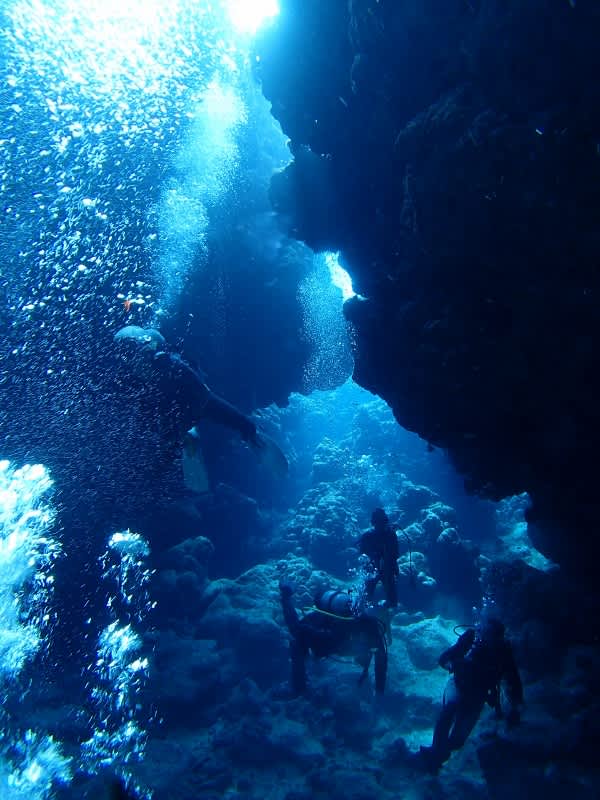 P6260031_600x800 P6260031_600x800