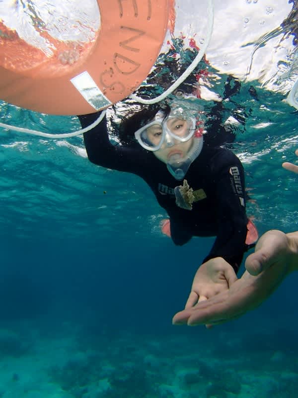 P6260044_600x800_2 P6260044_600x800_2