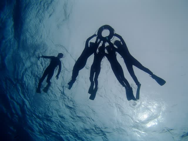 P9180004_640x480 P9180004_640x480