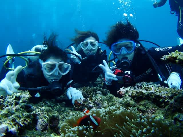 Pa170045_640x480 Pa170045_640x480