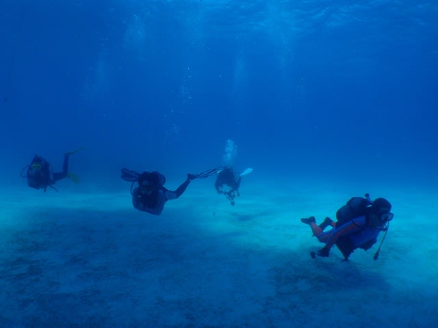 P5120001_2 P5120001_2