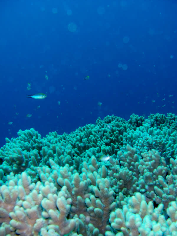 Gedc0004_2 Gedc0004_2