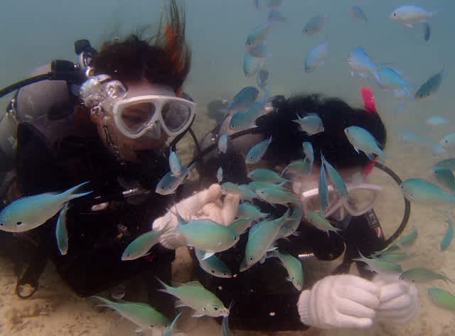 P9030033_640x473 P9030033_640x473