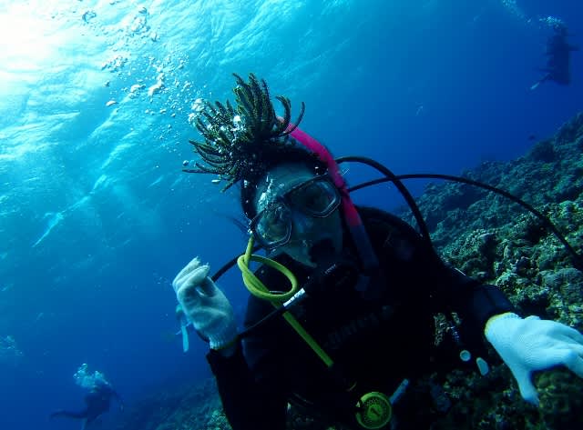 Pa170059_640x473 Pa170059_640x473