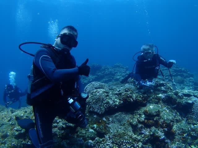 P6302313_640x480_640x480 P6302313_640x480_640x480