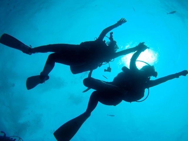 P4070116_640x480 P4070116_640x480