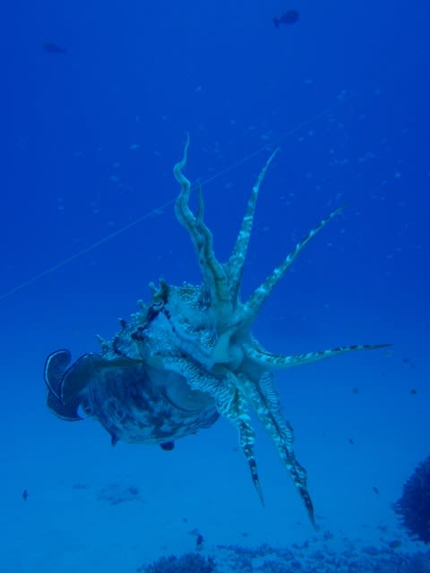 P4250020_2 P4250020_2