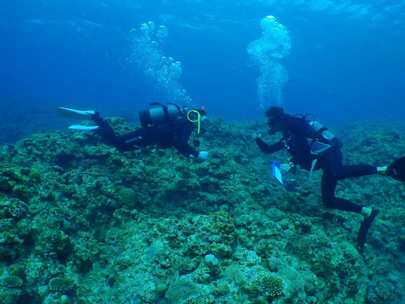 P3190028_2 P3190028_2