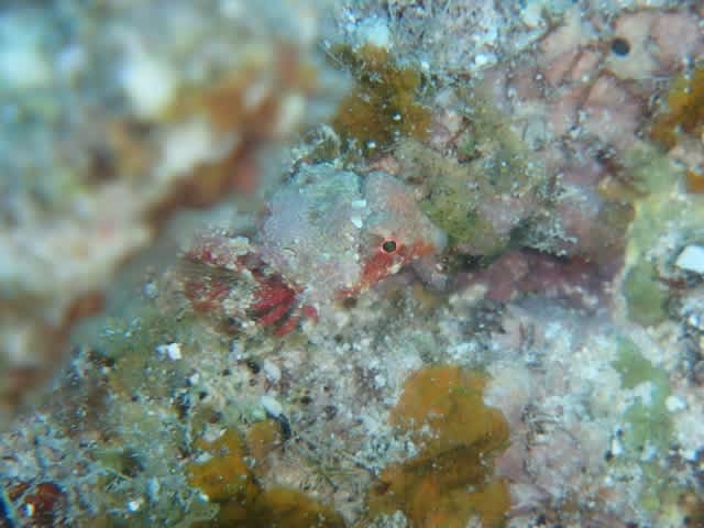 Pa210036_640x480 Pa210036_640x480