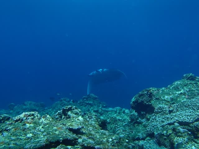 P9080017_640x480 P9080017_640x480