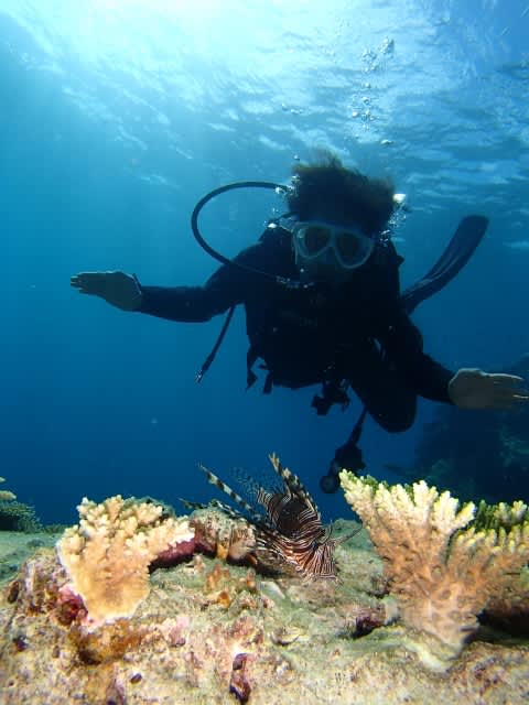 P9060012_480x640 P9060012_480x640