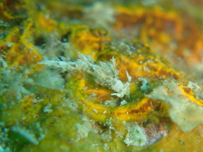 P5300003_1024x768 P5300003_1024x768