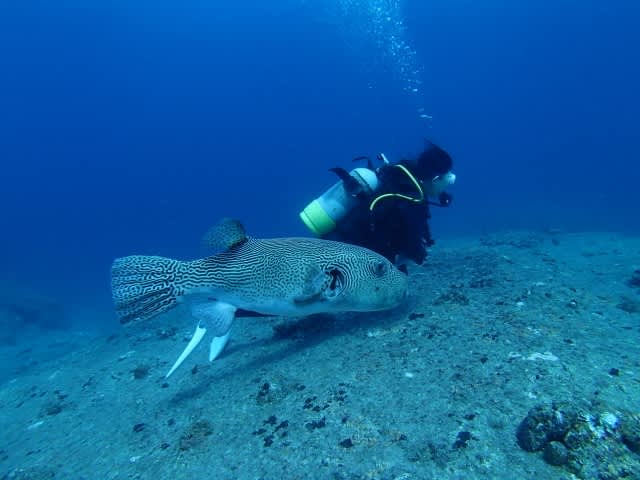 P6130017_640x480 P6130017_640x480