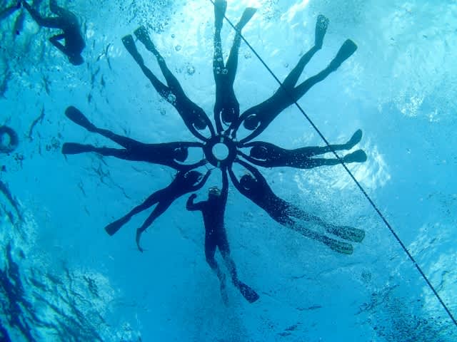 P9046262_640x480 P9046262_640x480