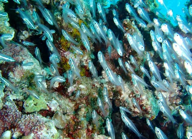 P9190027_640x462 P9190027_640x462