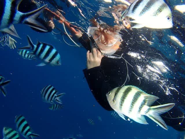 P9200012_640x480 P9200012_640x480