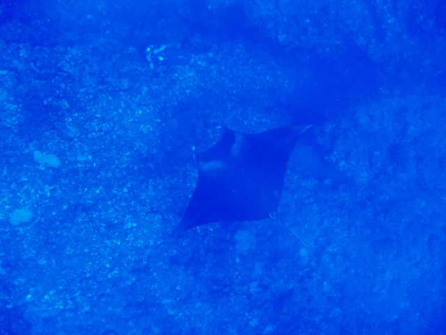 P9230030_640x480 P9230030_640x480