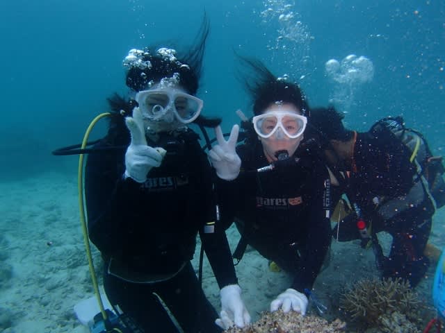 P5240057_640x480 P5240057_640x480